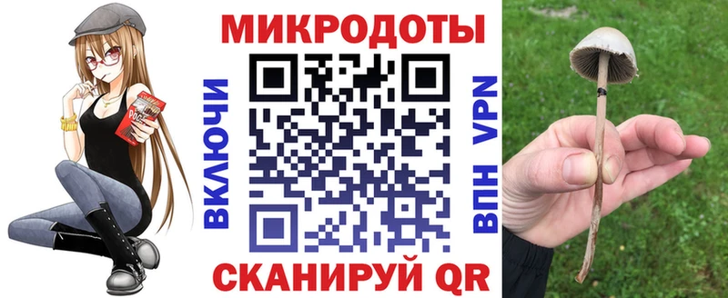 Псилоцибиновые грибы Cubensis даркнет сайт Вятские Поляны