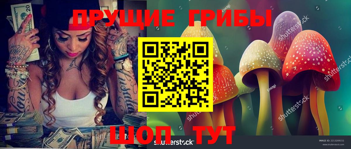 Псилоцибиновые грибы мухоморы  Галлюциногенные грибы Psilocybine cubensis  Вятские Поляны 