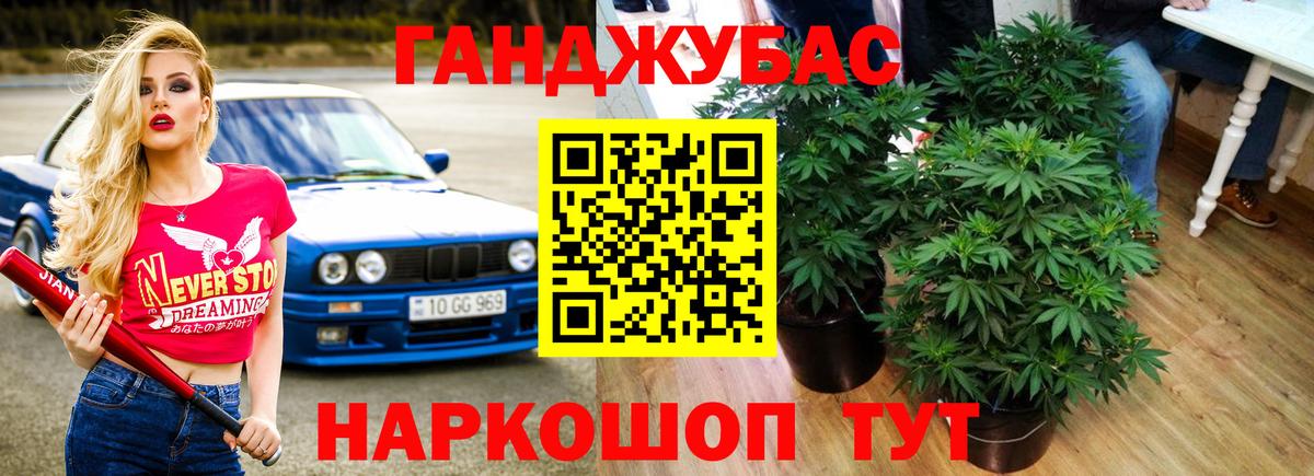 Шишки марихуана Amnesia Вятские Поляны