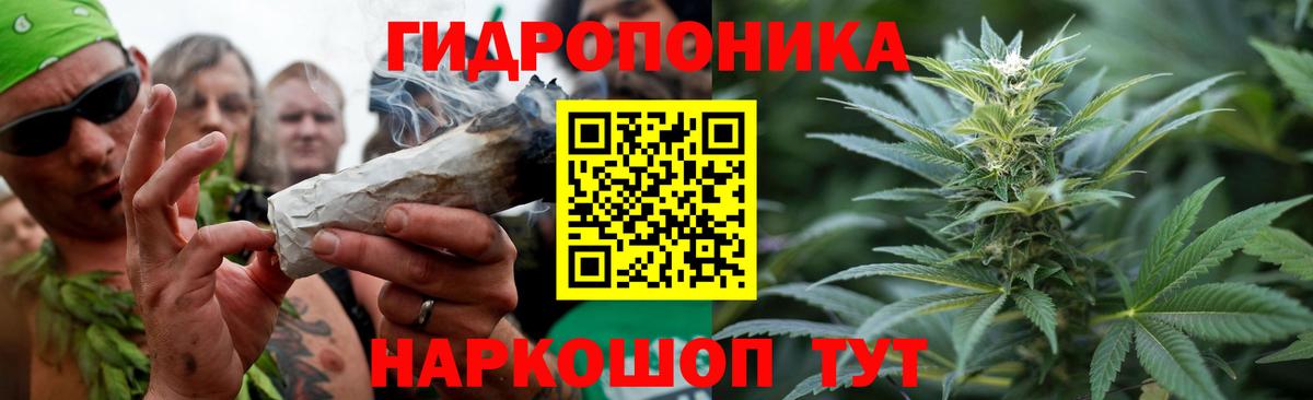 Шишки марихуана марихуана  Вход с VPN  Вятские Поляны  Шишки марихуана Ganja  МАРИХУАНА индика  Шишки марихуана семена 